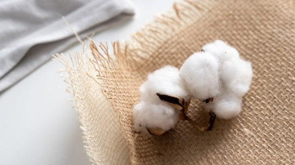 To the Roots of Respect