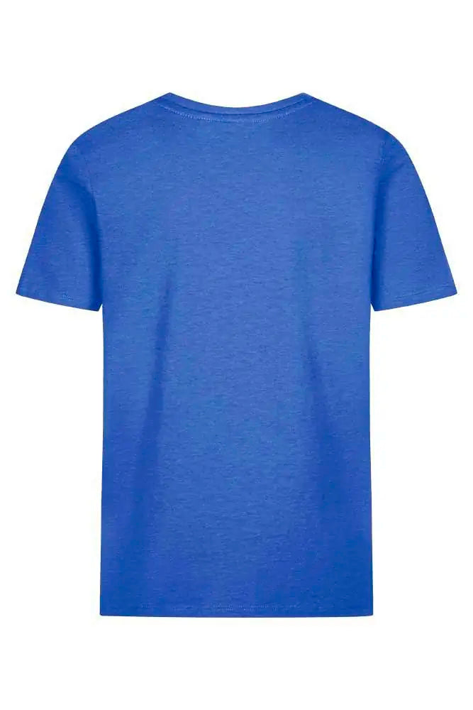 683271fa731e63a8c088bdb72d939319