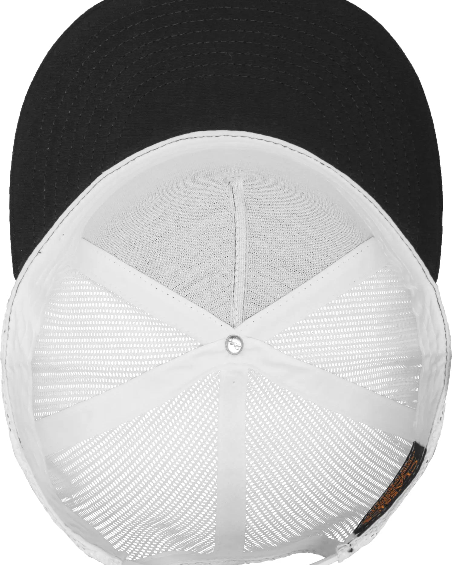 7e3a8aeec09278963f2bcb16afab7519