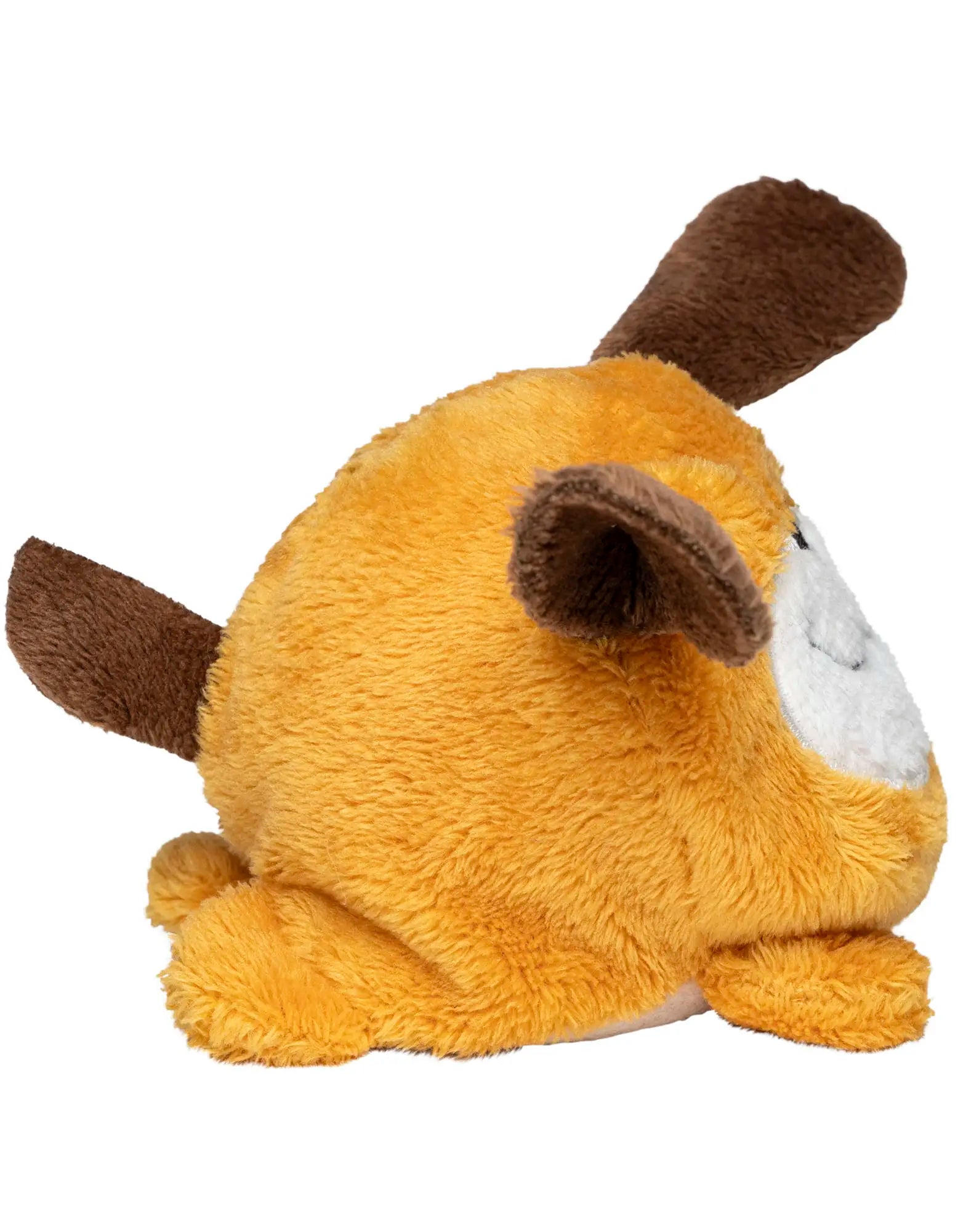 aa9b09b81f9d46f8fdabe38fee4b2b51