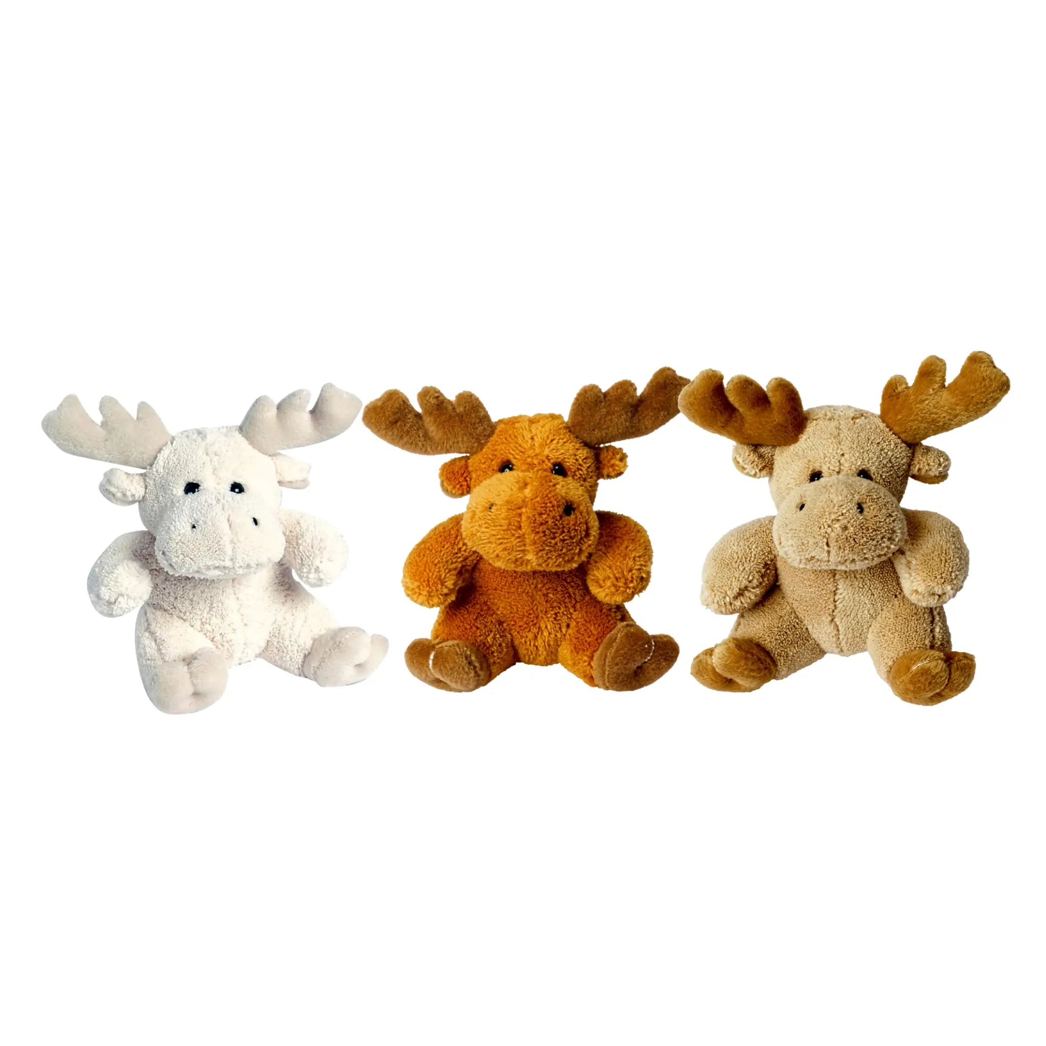 all-groups MiniFeet Moose Caro