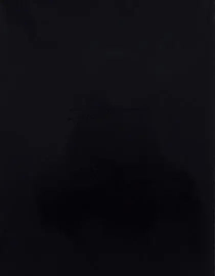 2edb997aec0bee5cc41648a9f21155d6