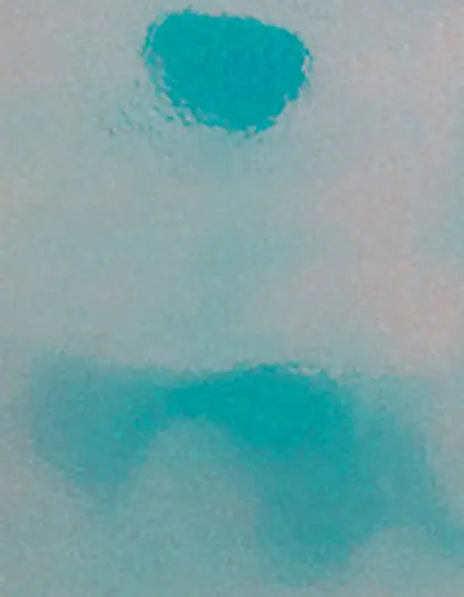 23e7b5758fc94fcc6590a8e6fdbf17d7