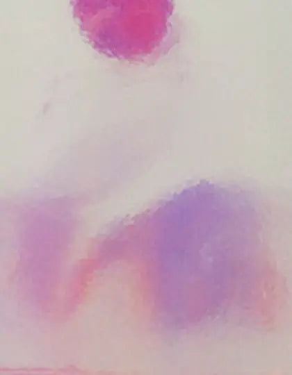 48864f1d915bc462369305e7db61d206