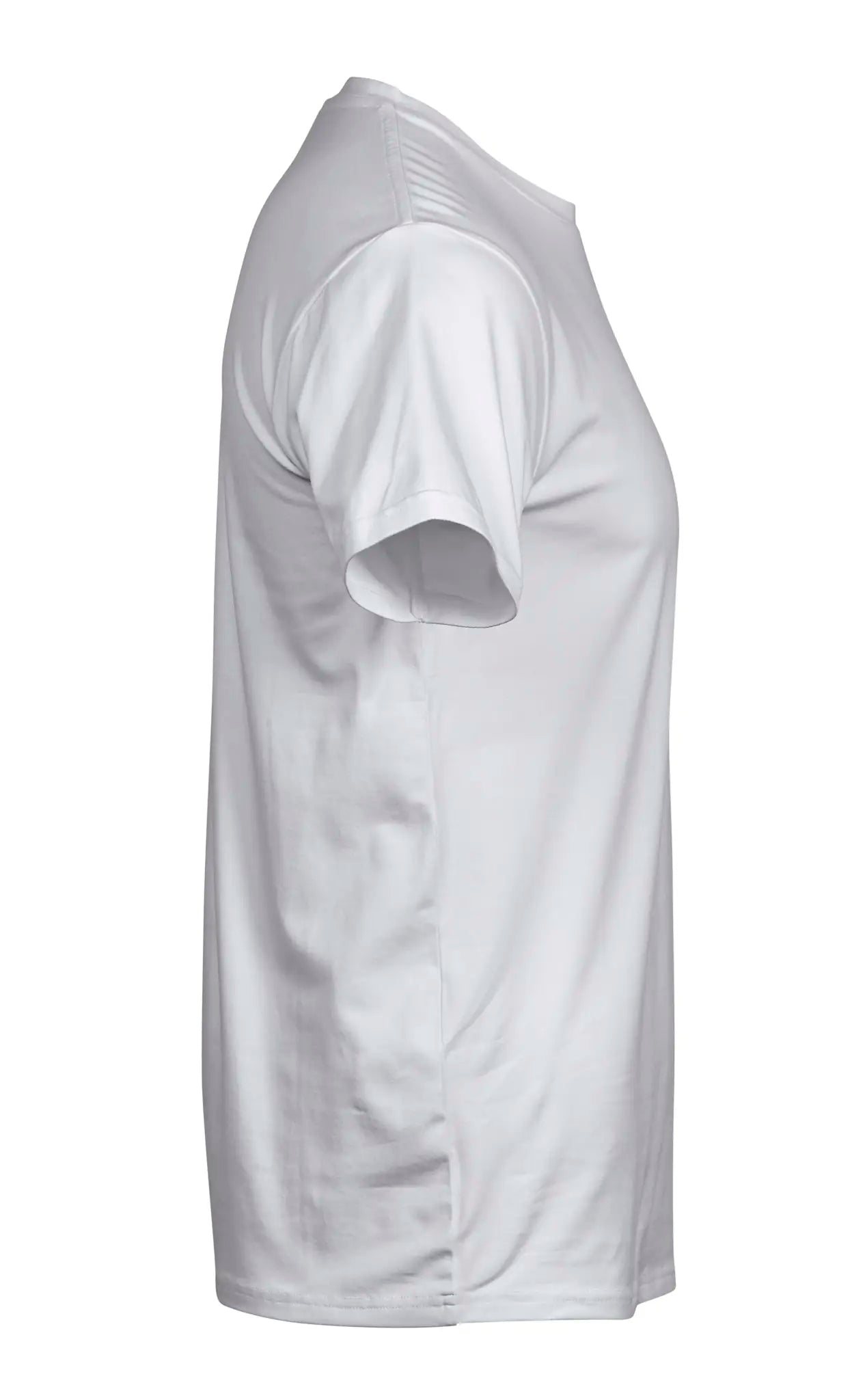 d54477d9bce5d98c7efc46c799195d16