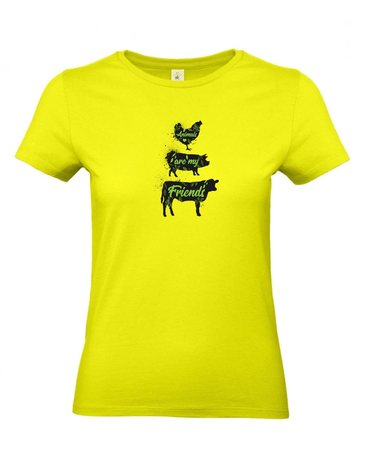 bundle-src:https://cdn.shopify.com/s/files/1/0946/1078/4639/files/TW04T_P_BC_986_01.jpg?v=1772459365