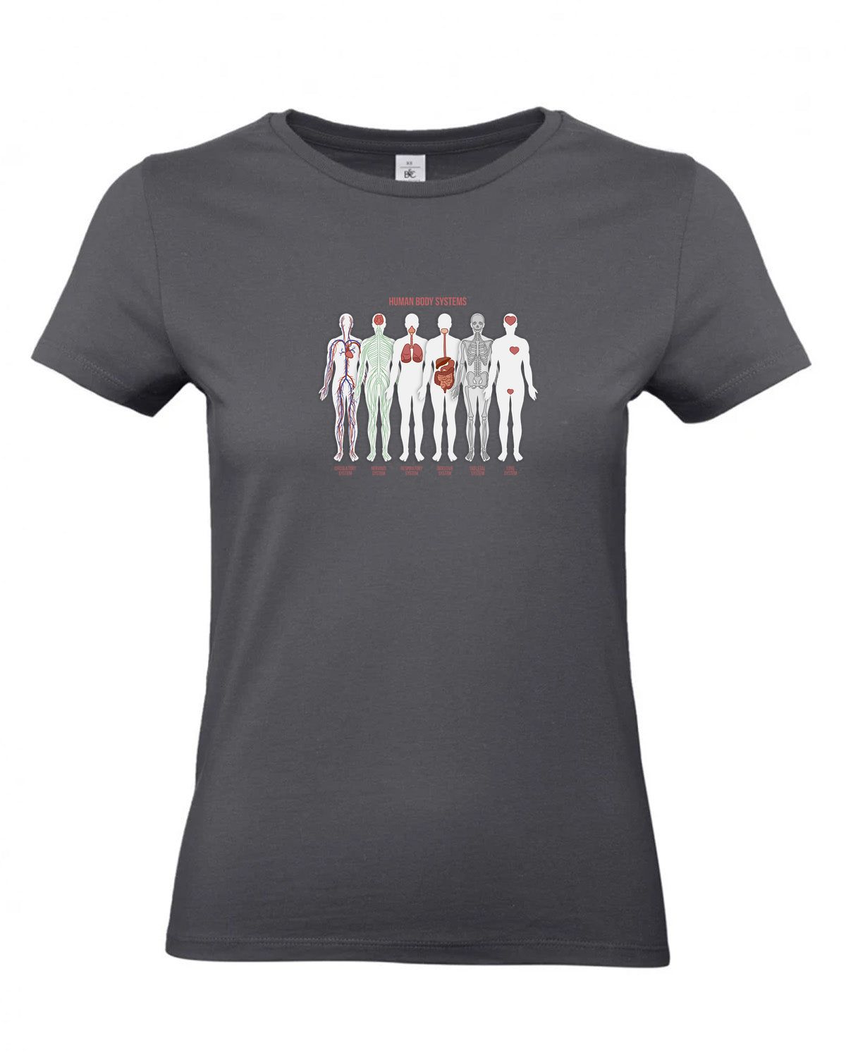 bundle-src:https://cdn.shopify.com/s/files/1/0946/1078/4639/files/TW04T_P_BC_670_01.jpg?v=1772459365