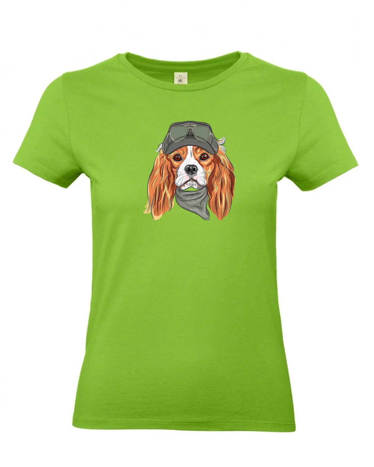 bundle-src:https://cdn.shopify.com/s/files/1/0946/1078/4639/files/TW04T_P_BC_511_01.jpg?v=1772459365