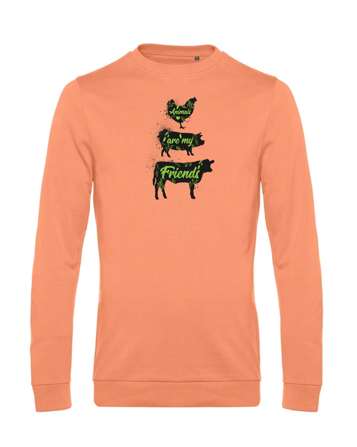 bundle-src:https://cdn.shopify.com/s/files/1/0946/1078/4639/files/WU01W_P_BC_255_01.jpg?v=1772633790