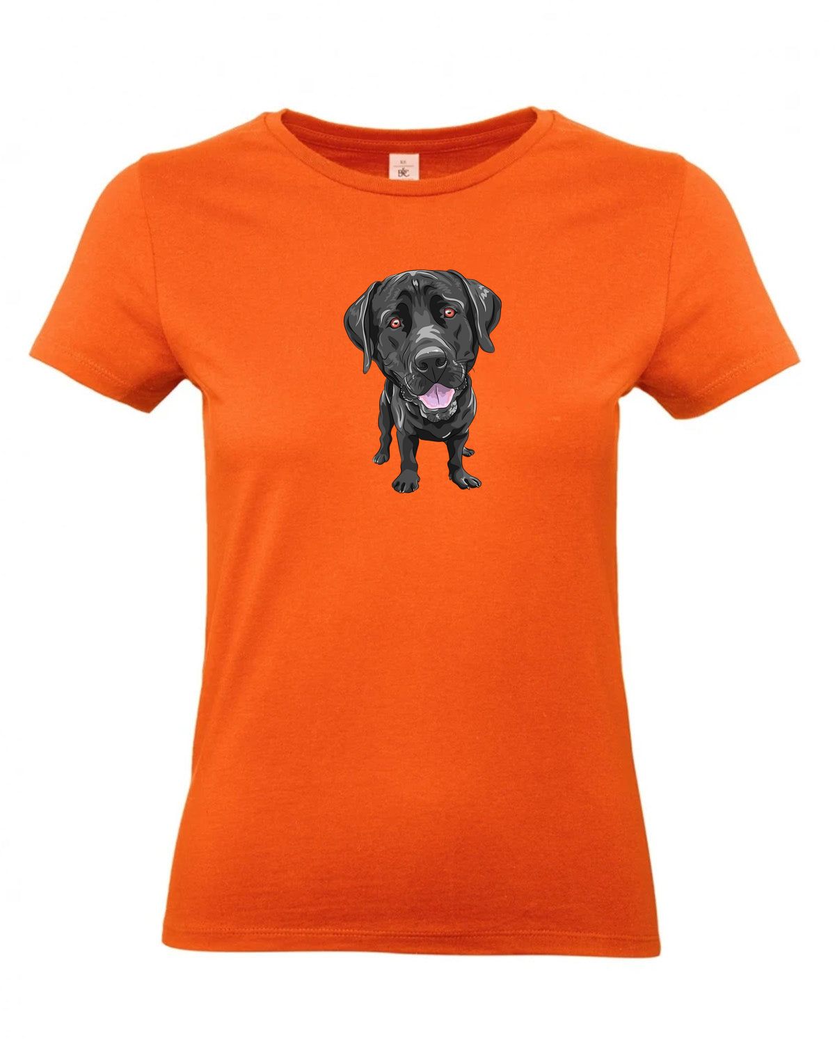 bundle-src:https://cdn.shopify.com/s/files/1/0946/1078/4639/files/TW04T_P_BC_235_01.jpg?v=1772459365