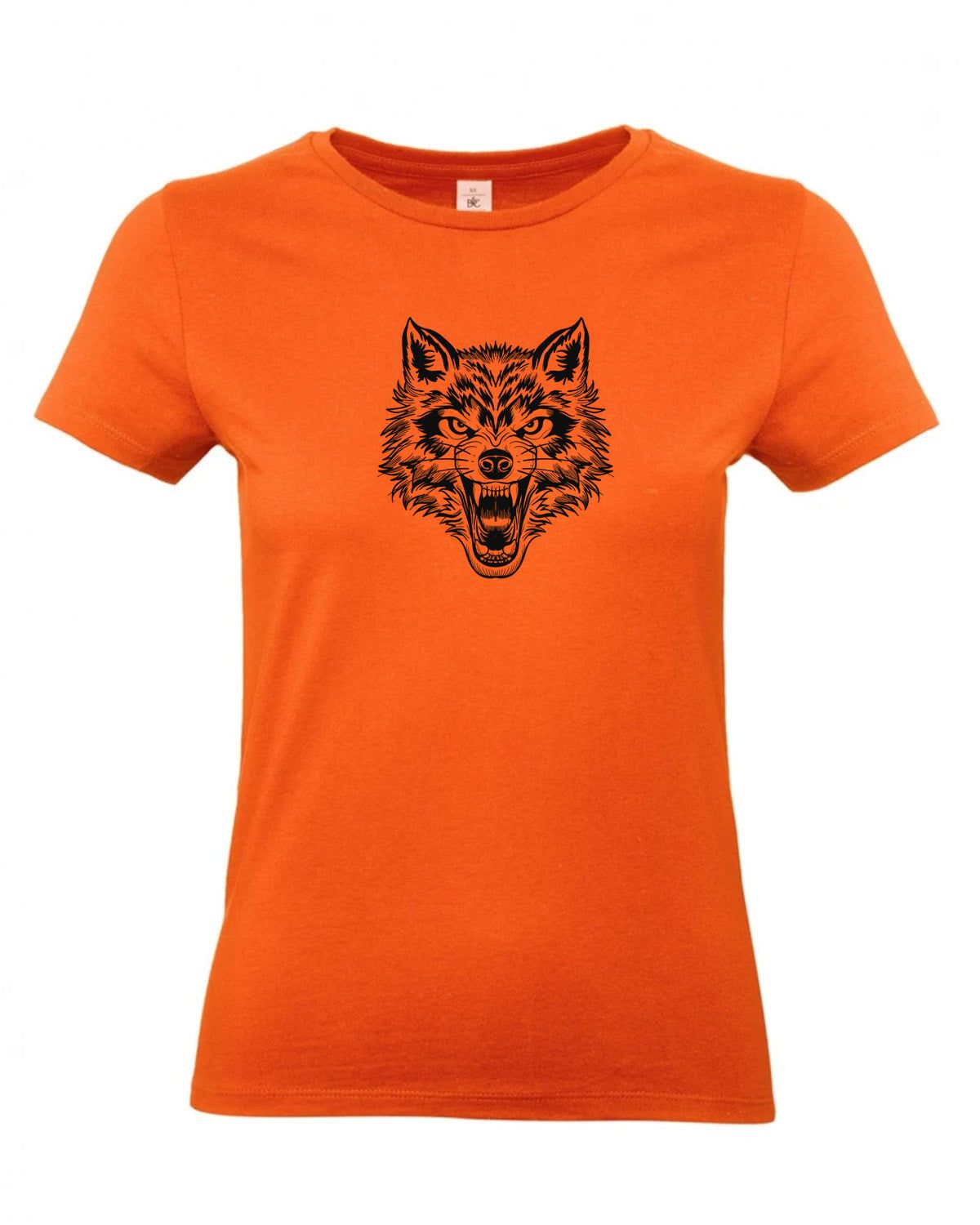 bundle-src:https://cdn.shopify.com/s/files/1/0946/1078/4639/files/TW04T_P_BC_235_01.jpg?v=1772459365