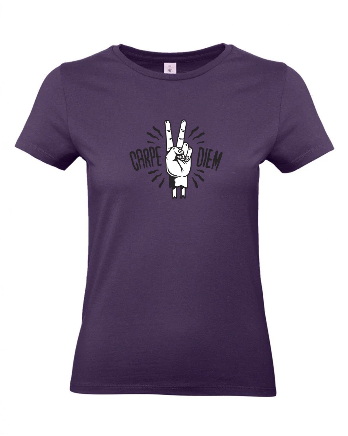 bundle-src:https://cdn.shopify.com/s/files/1/0946/1078/4639/files/TW04T_P_BC_351_01.jpg?v=1772459365