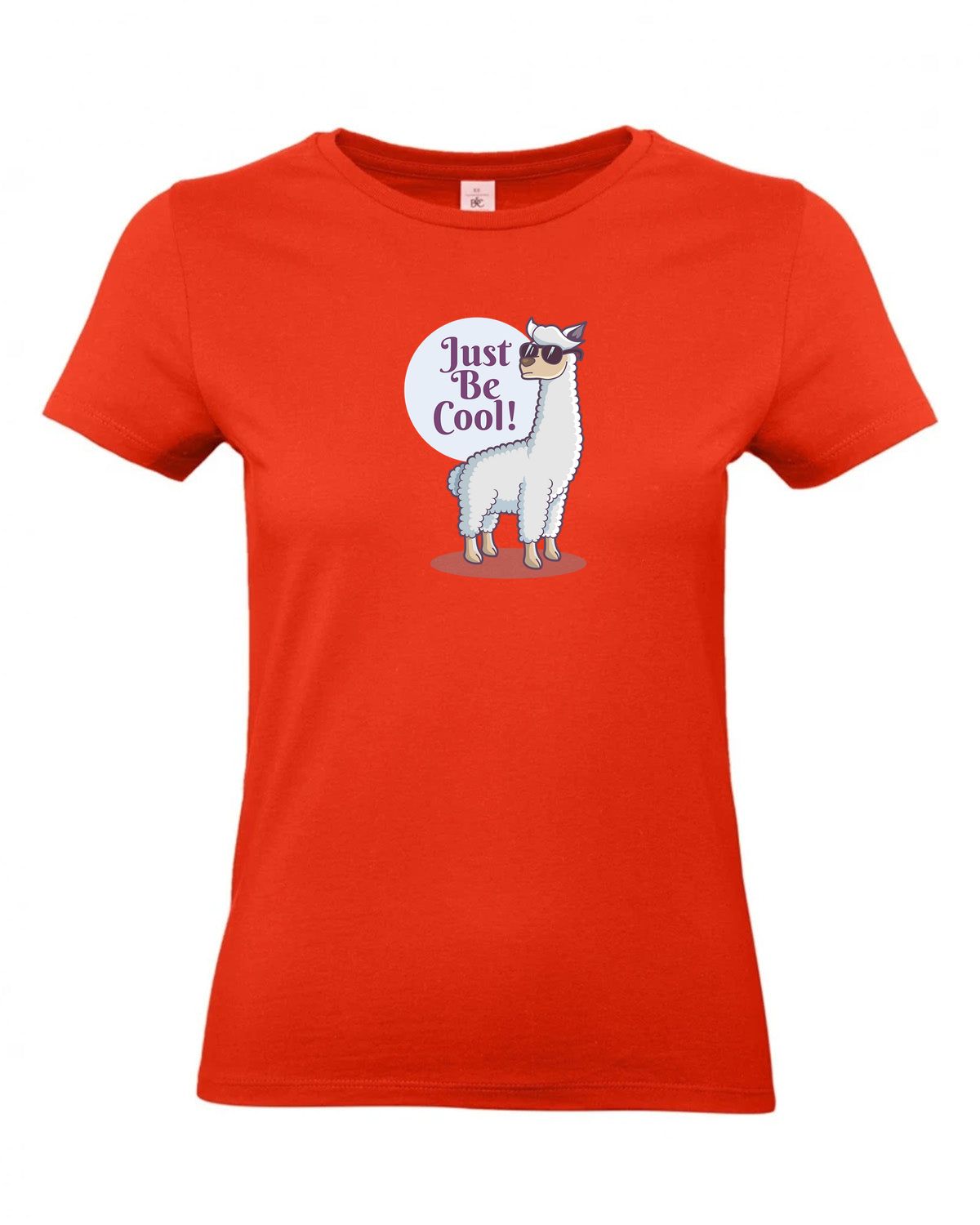 bundle-src:https://cdn.shopify.com/s/files/1/0946/1078/4639/files/TW04T_P_BC_007_01.jpg?v=1772459365