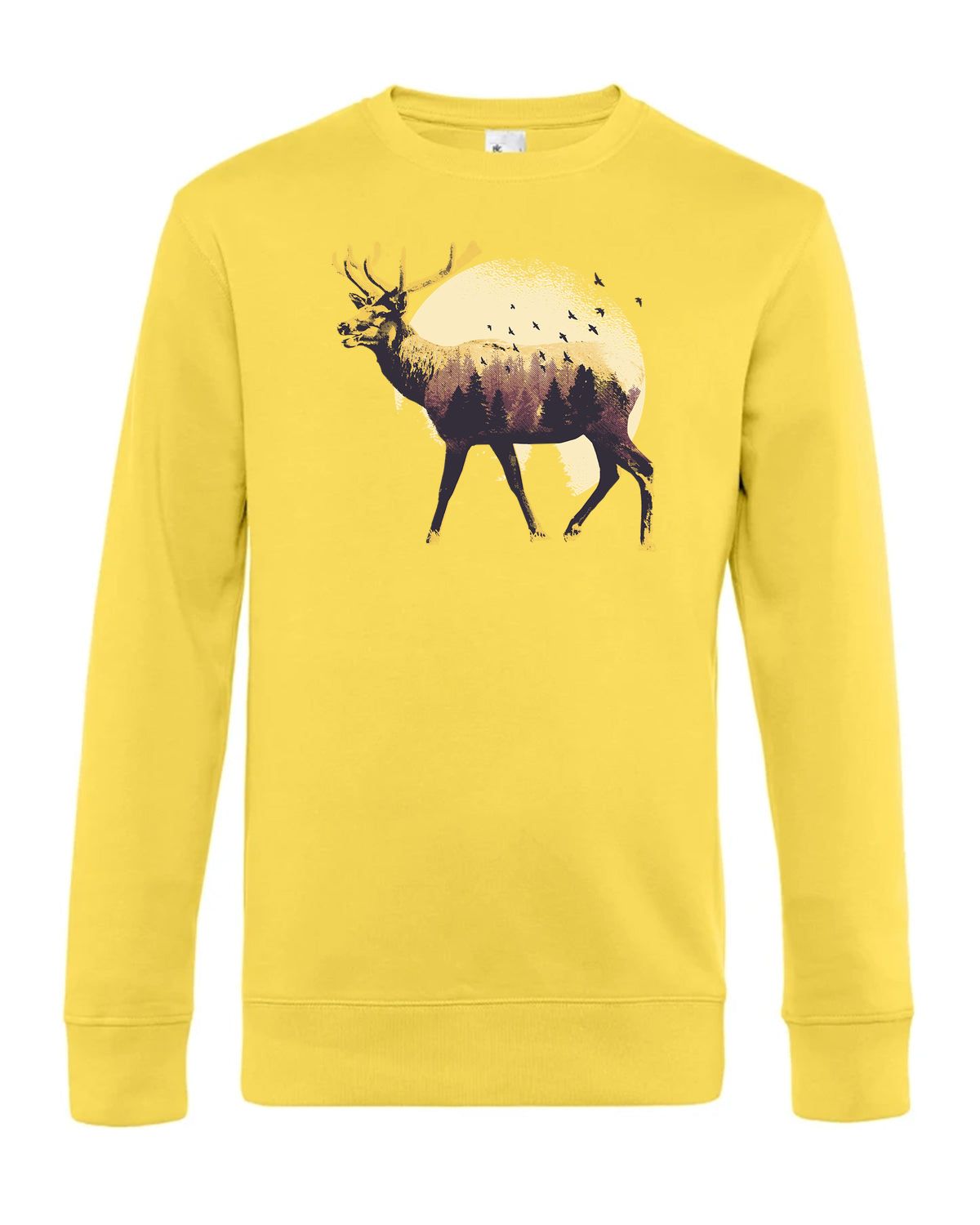 bundle-src:https://cdn.shopify.com/s/files/1/0946/1078/4639/files/WU01K_P_BC_205_01.jpg?v=1773063264