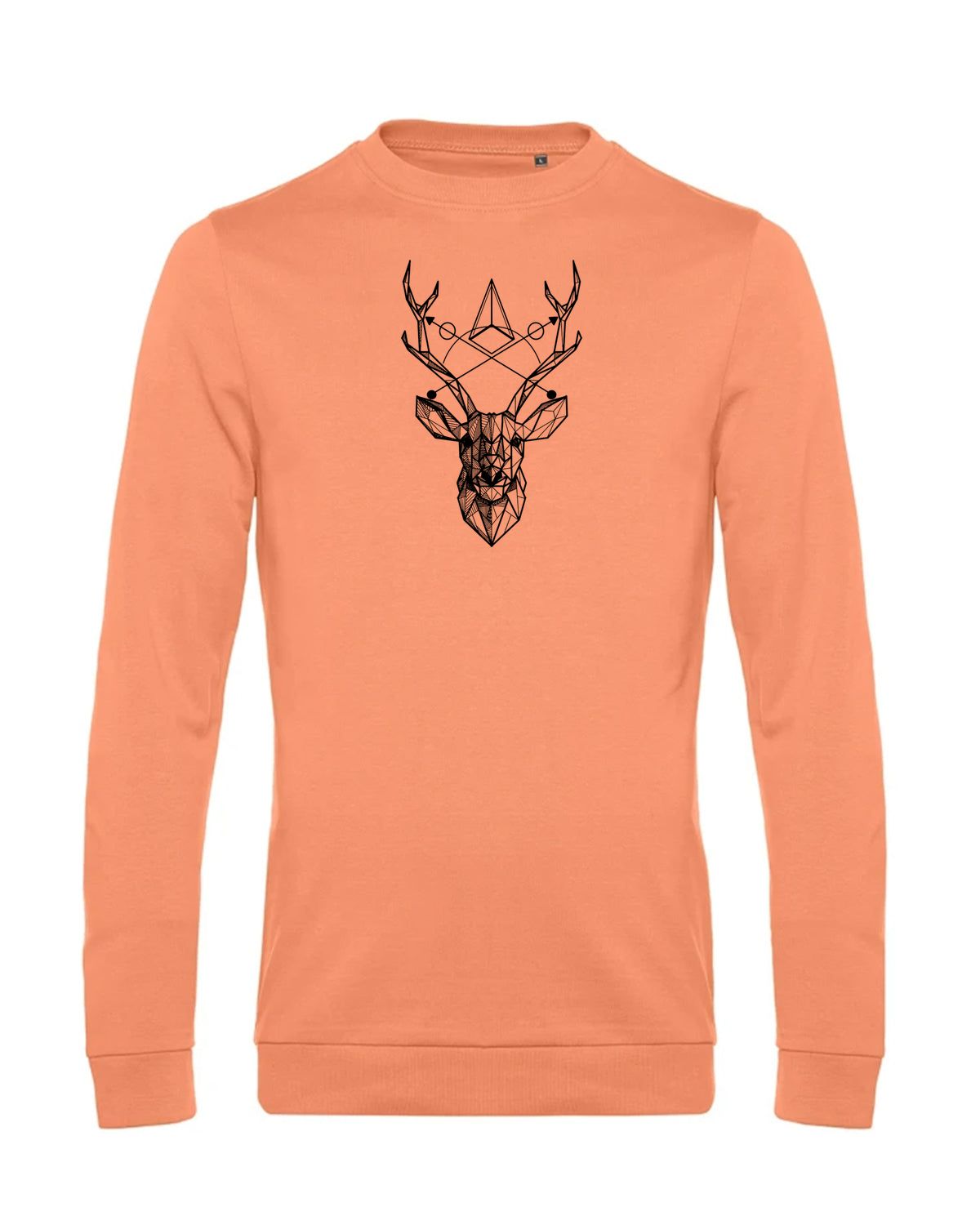 bundle-src:https://cdn.shopify.com/s/files/1/0946/1078/4639/files/WU01W_P_BC_255_01.jpg?v=1772633790