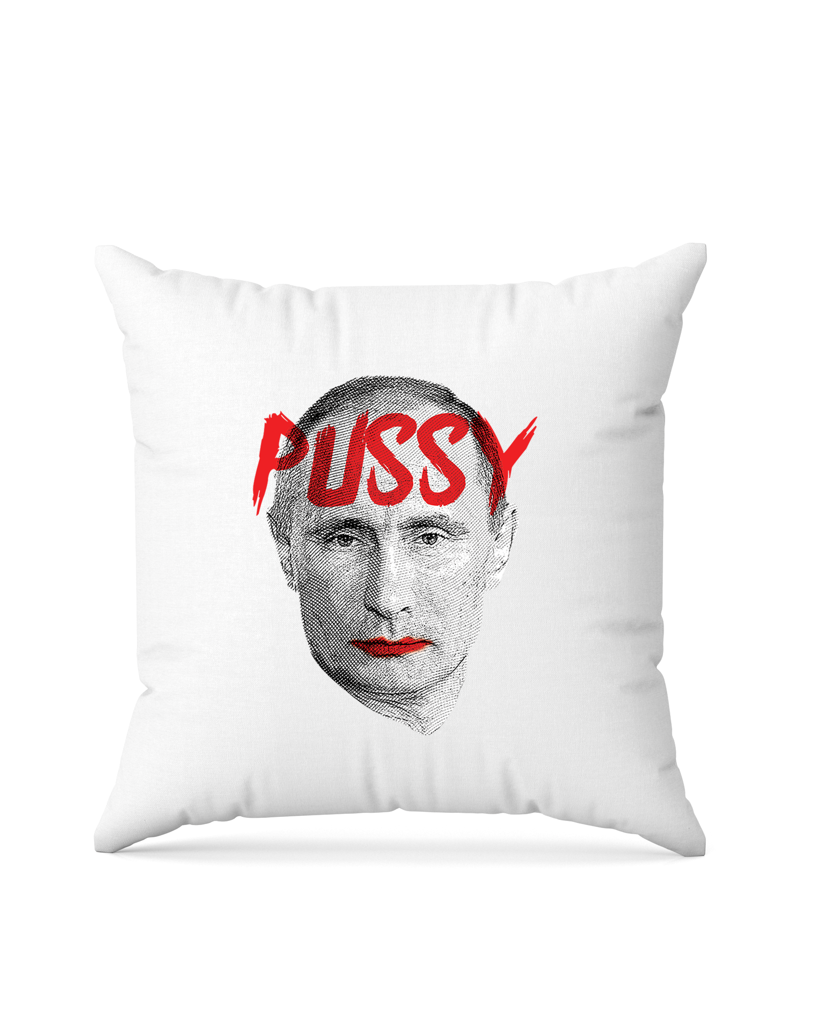 bundle-src:https://cdn.shopify.com/s/files/1/0946/1078/4639/files/Square_pillow_2048x2048.png?v=1772101559