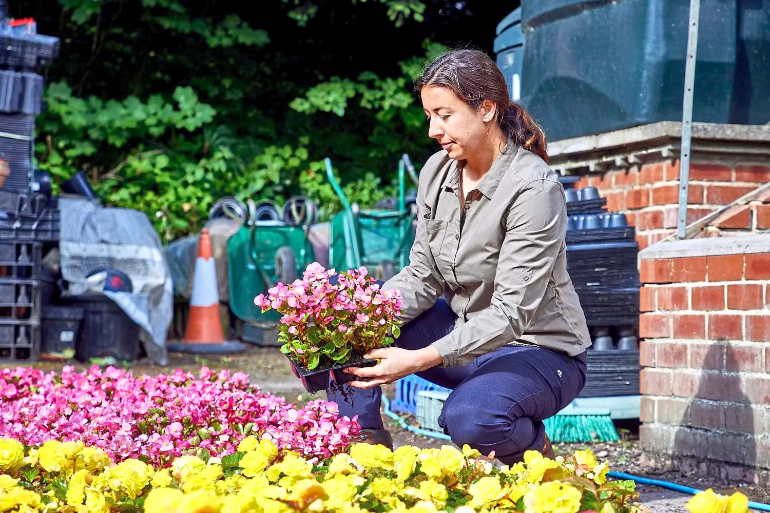 all-groups Women's Expert Kiwi Long Sleeved Shirt