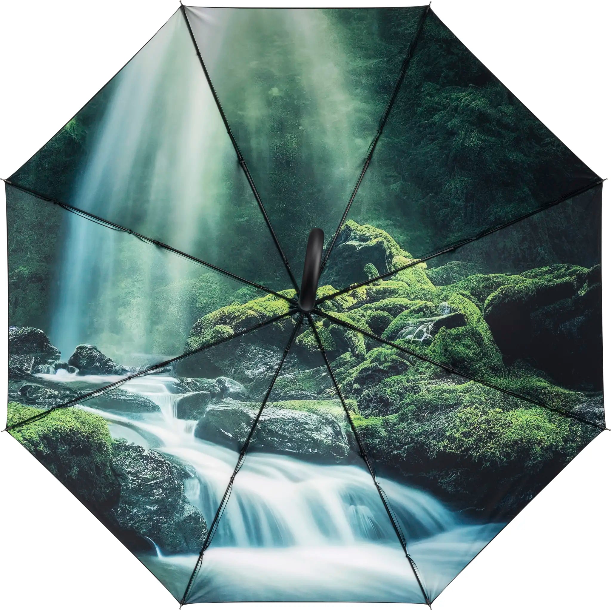 8012461b53afd73102d87840d8d80117