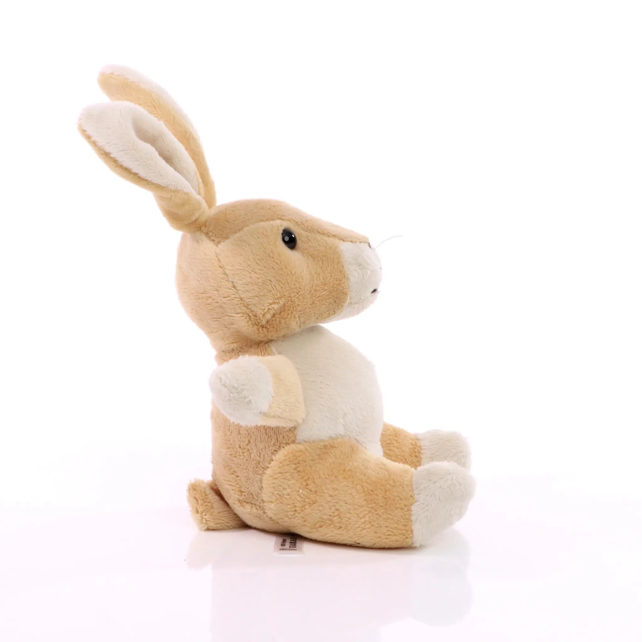 84c1c16a4ba80bdc533775a5e557dfdc