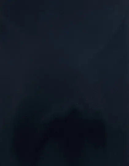 54d46a24f059dd4c64637ced759ad09a