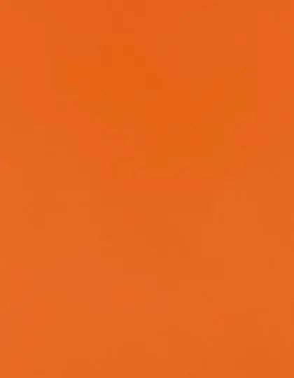 92202416fbfb49c81dd4262d133fb981