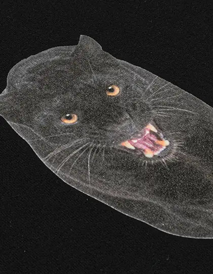 53a12e4815a8168a54f1fb6d203e89a3