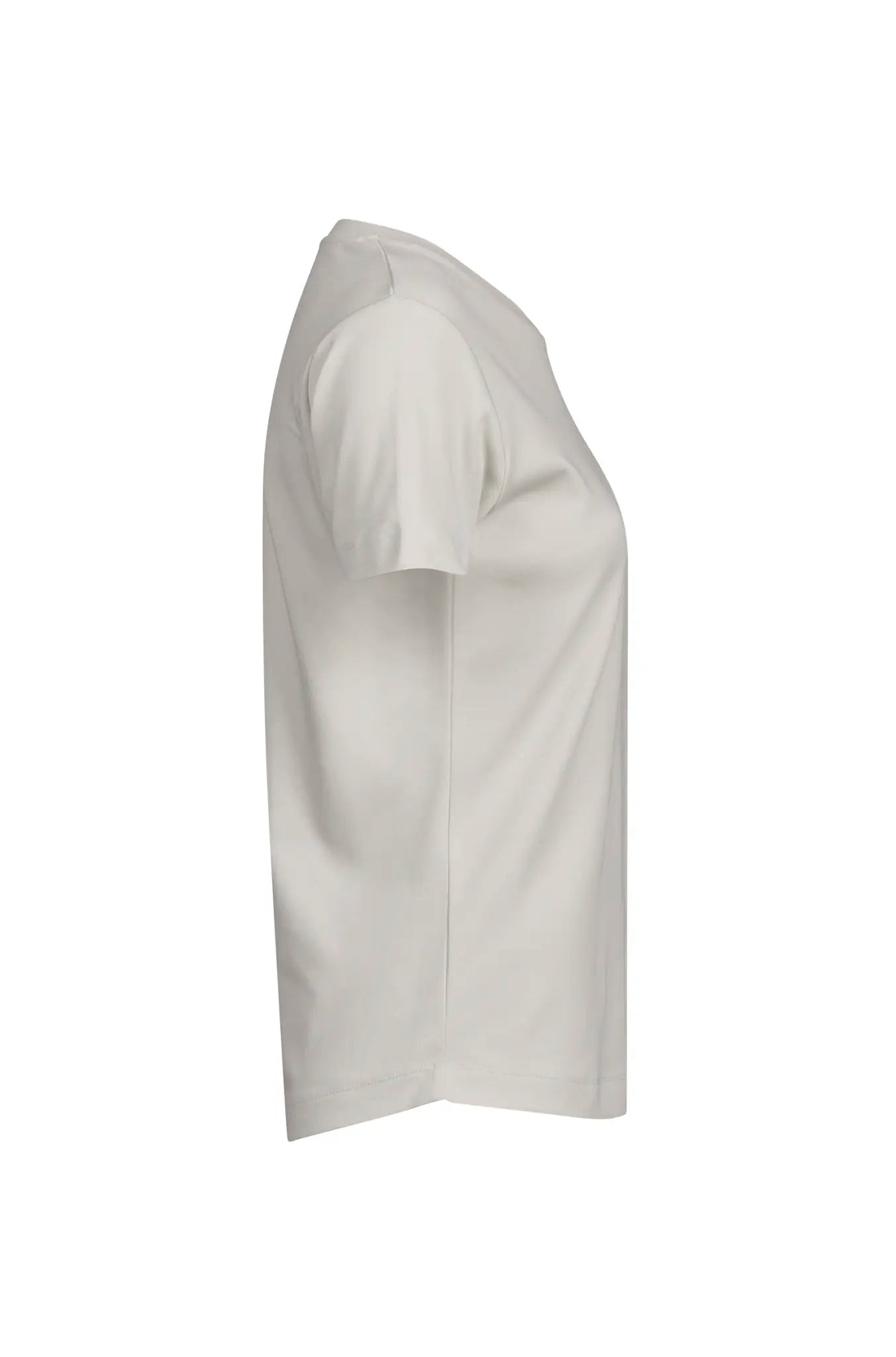 8ec558fb4360fe2cf84b77dbf6311607