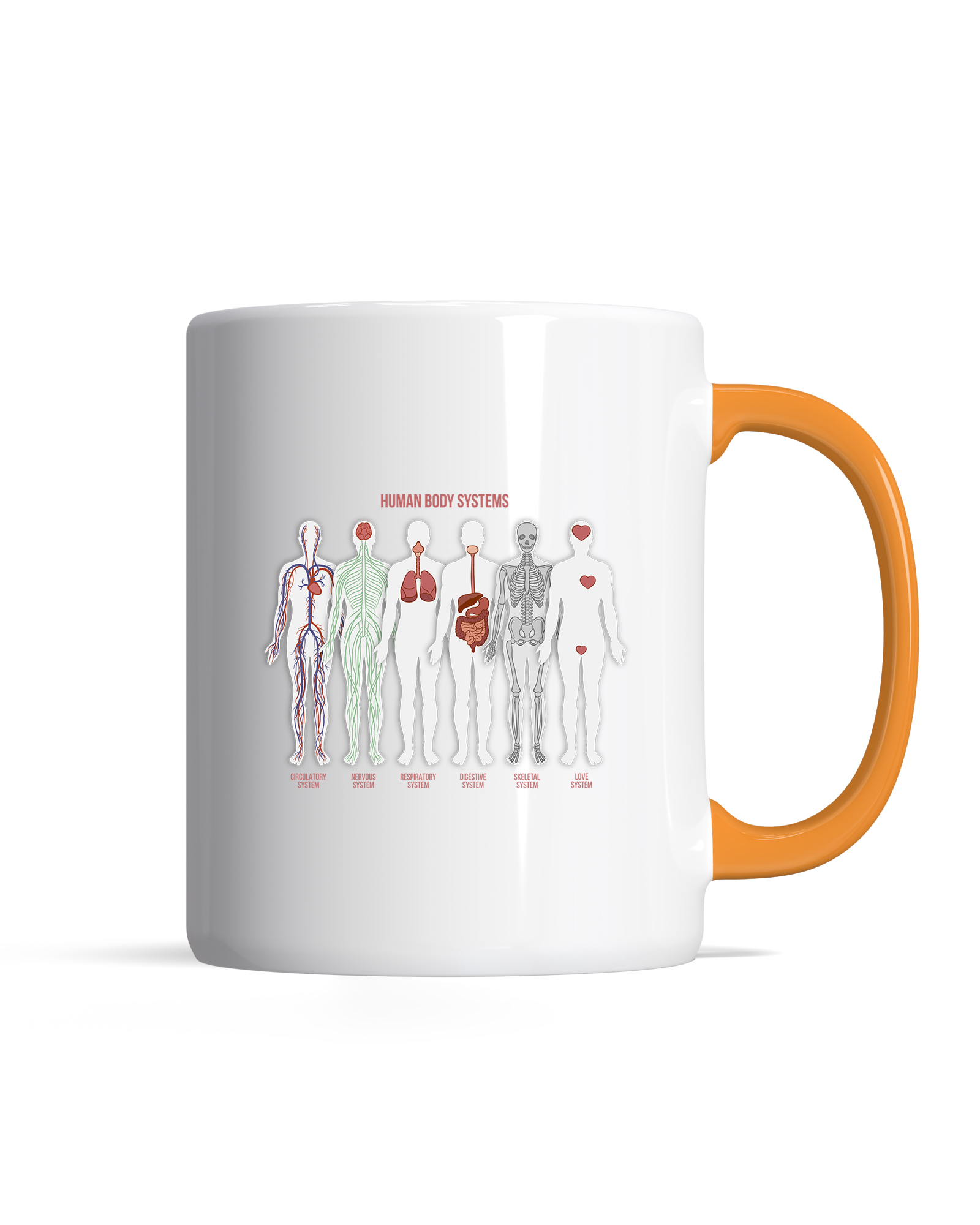 bundle-src:https://cdn.shopify.com/s/files/1/0946/1078/4639/files/Premiummugorange.png?v=1770895064