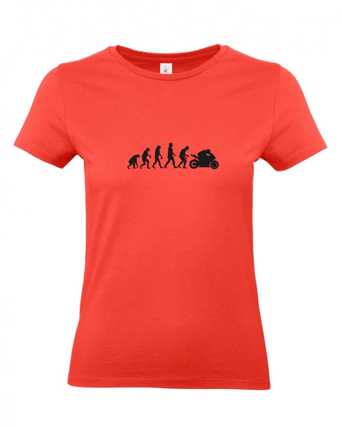 bundle-src:https://cdn.shopify.com/s/files/1/0946/1078/4639/files/TW04T_P_BC_236_01.jpg?v=1772459365