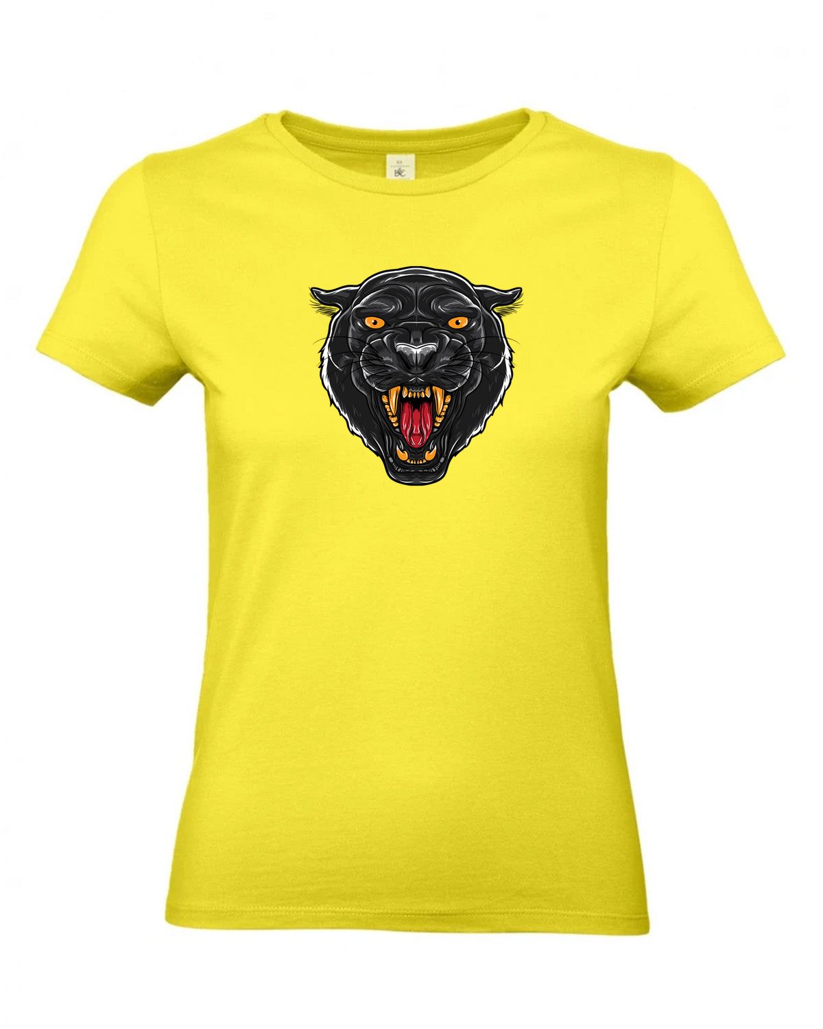 bundle-src:https://cdn.shopify.com/s/files/1/0946/1078/4639/files/TW04T_P_BC_201_01.jpg?v=1772459365