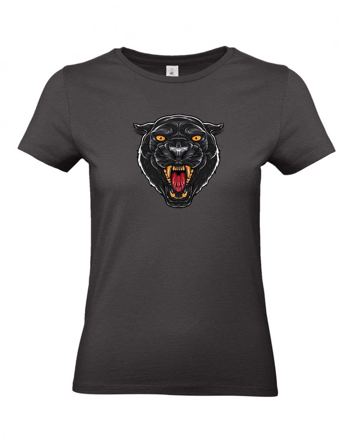 bundle-src:https://cdn.shopify.com/s/files/1/0946/1078/4639/files/TW04T_P_BC_748_01.jpg?v=1772459365