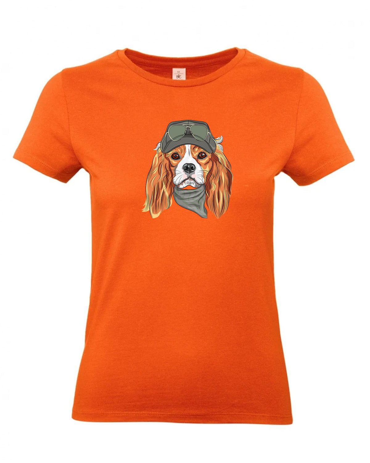 bundle-src:https://cdn.shopify.com/s/files/1/0946/1078/4639/files/TW04T_P_BC_235_01.jpg?v=1772459365