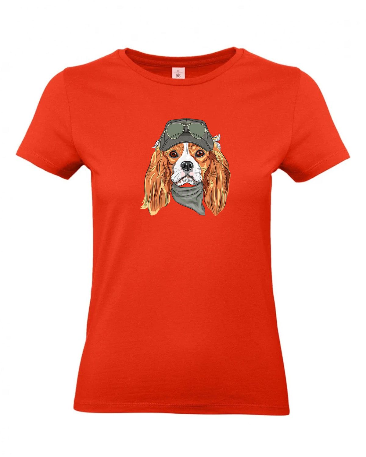 bundle-src:https://cdn.shopify.com/s/files/1/0946/1078/4639/files/TW04T_P_BC_007_01.jpg?v=1772459365