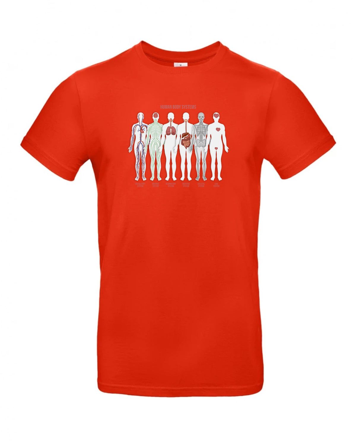 bundle-src:https://cdn.shopify.com/s/files/1/0946/1078/4639/files/TU03T_P_BC_007_01.jpg?v=1772523893