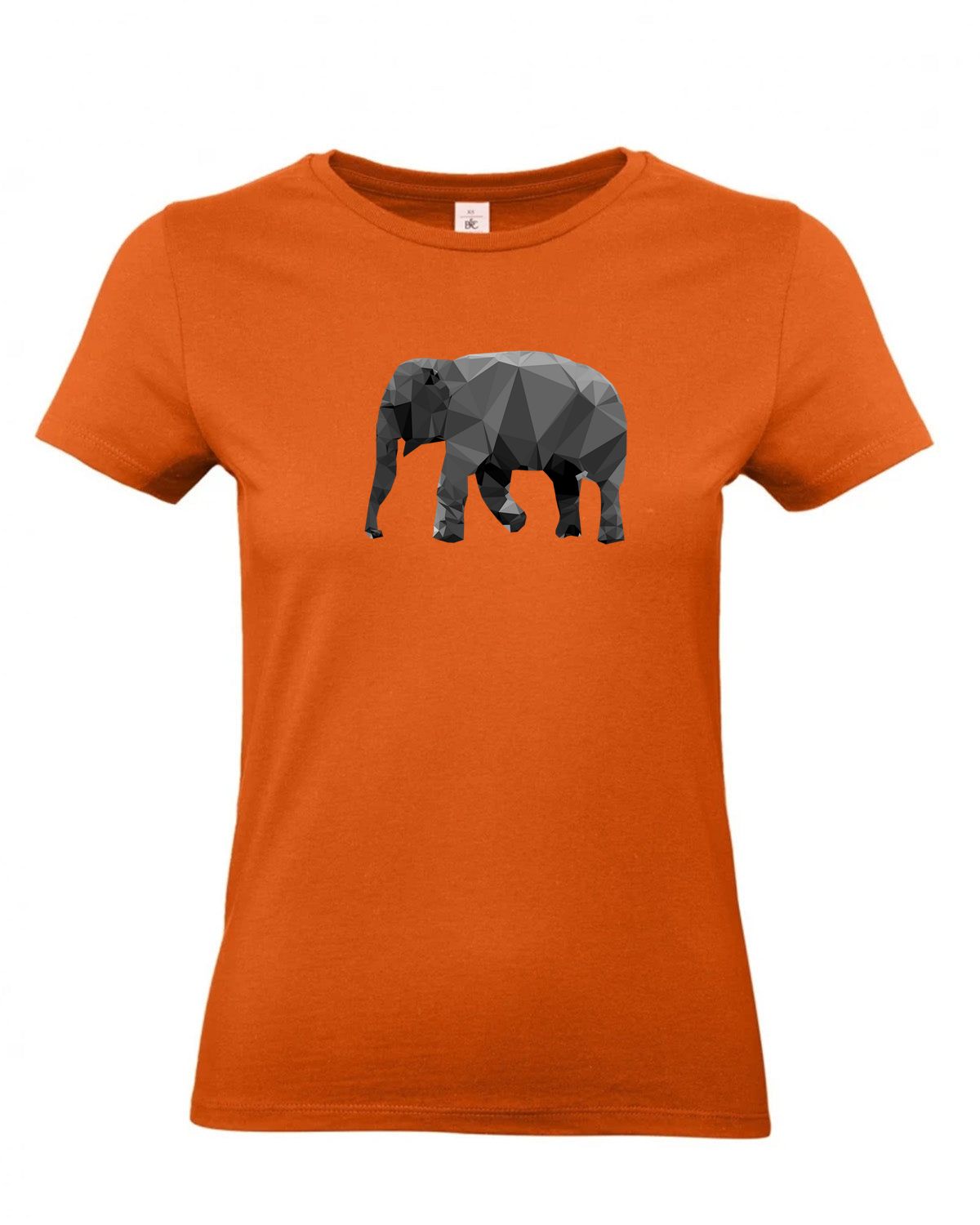 bundle-src:https://cdn.shopify.com/s/files/1/0946/1078/4639/files/TW04T_P_BC_231_01.jpg?v=1772459365