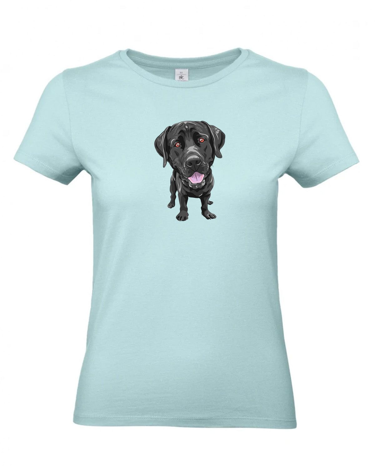 bundle-src:https://cdn.shopify.com/s/files/1/0946/1078/4639/files/TW04T_P_BC_509_01.jpg?v=1772459365