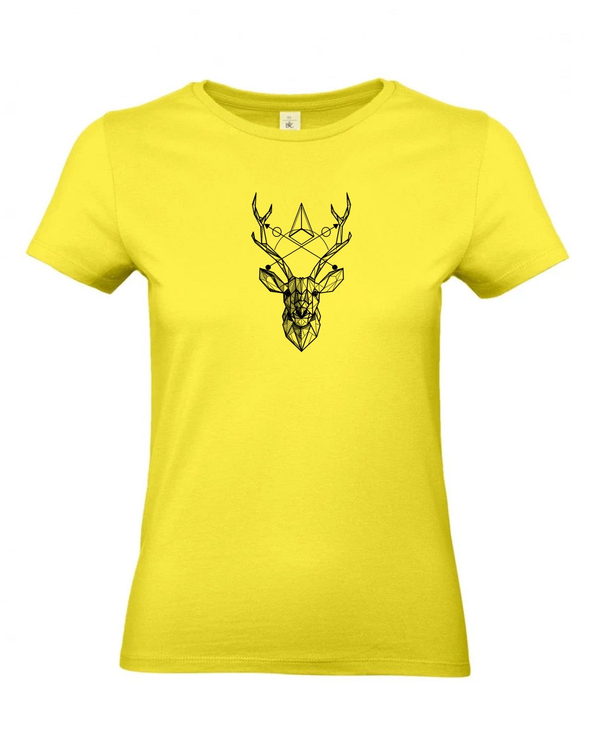 bundle-src:https://cdn.shopify.com/s/files/1/0946/1078/4639/files/TW04T_P_BC_201_01.jpg?v=1772459365