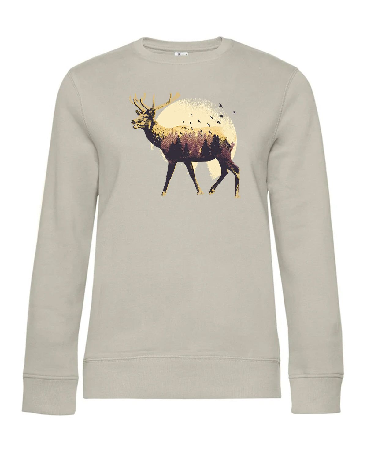 bundle-src:https://cdn.shopify.com/s/files/1/0946/1078/4639/files/WW01Q_P_BC_672_01.jpg?v=1773217929